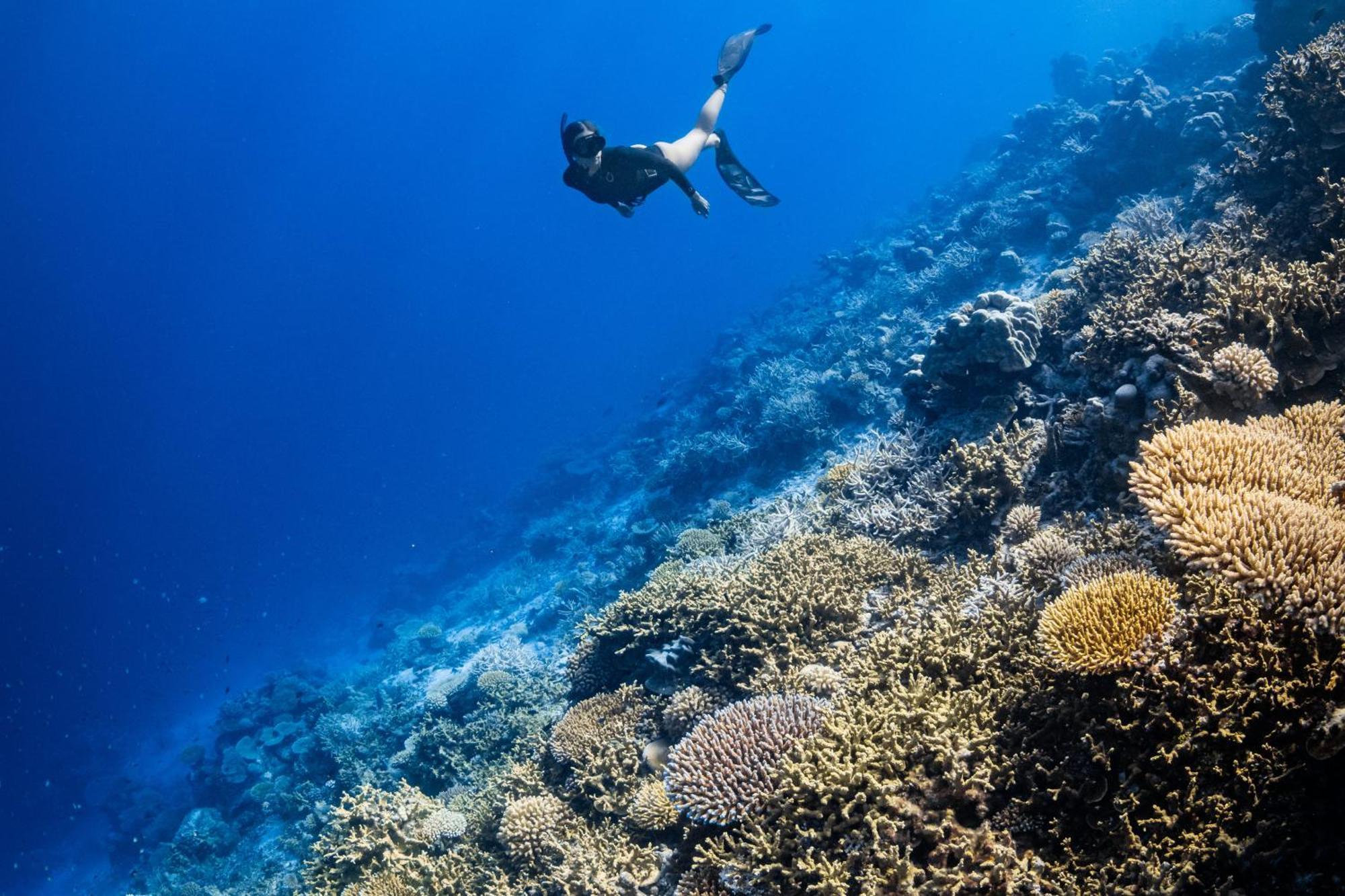 Hotel Park Hyatt Maldives Hadahaa Kondey Esterno foto