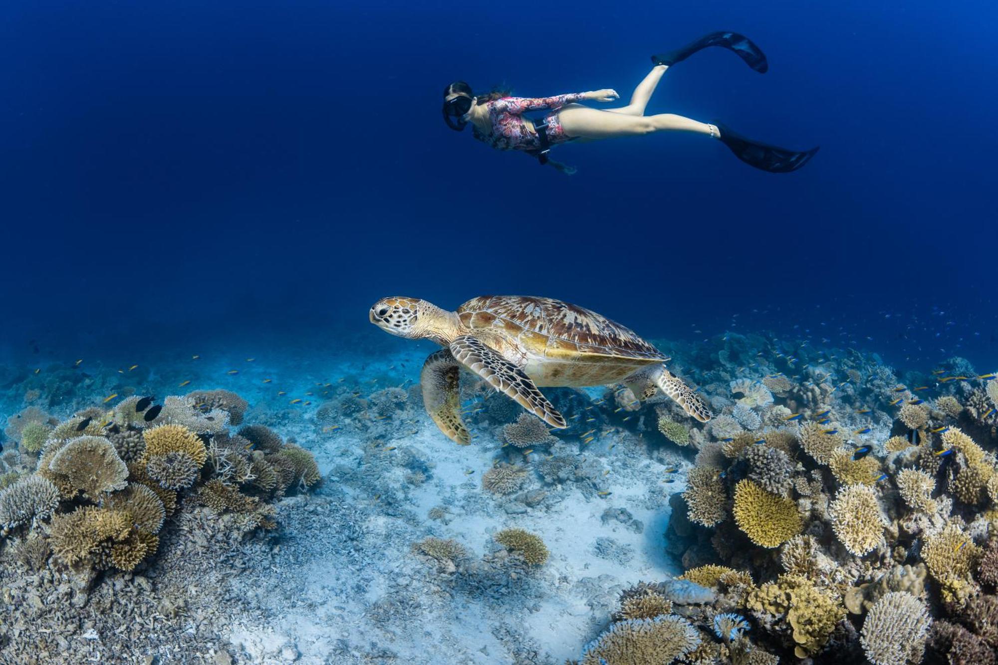 Hotel Park Hyatt Maldives Hadahaa Kondey Esterno foto
