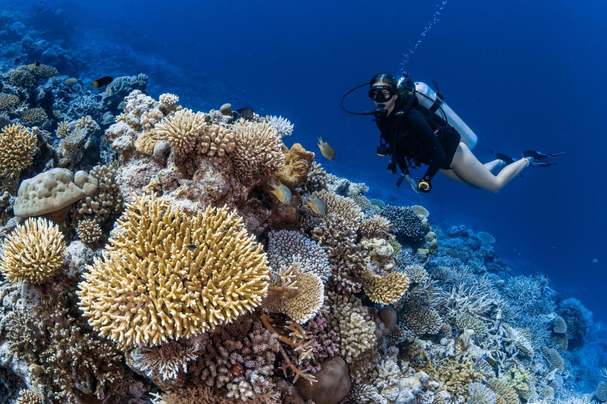 Hotel Park Hyatt Maldives Hadahaa Kondey Esterno foto